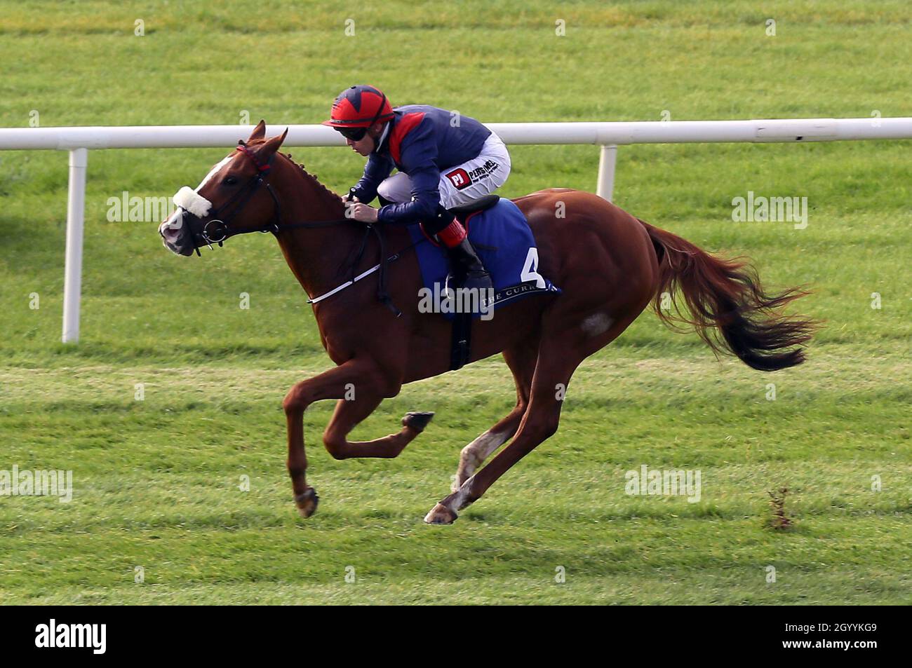 Jockey leigh roche -Fotos und -Bildmaterial in hoher Auflösung – Alamy