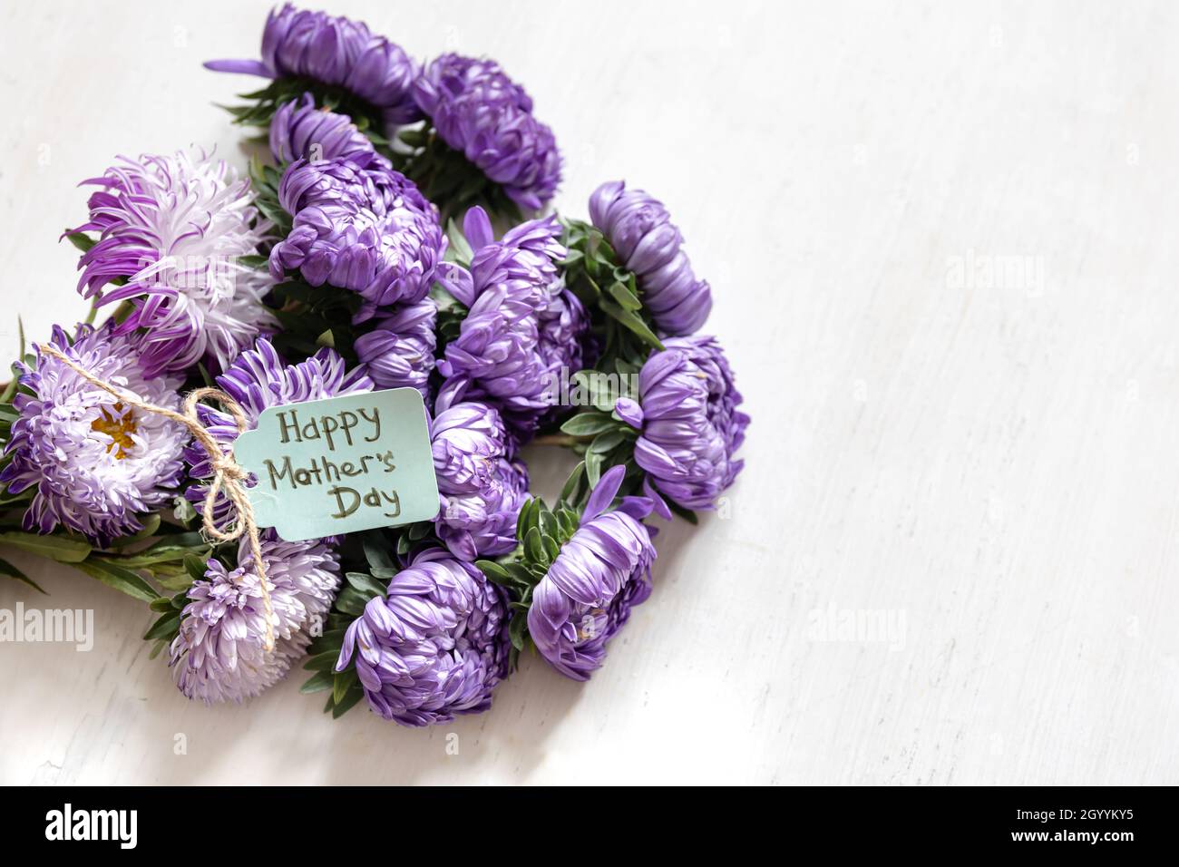 Festlicher Hintergrund mit einem Strauß blauer Chrysanthemen und einer Grußkarte mit dem Wunsch nach einem glücklichen Muttertag auf weißem Hintergrund, Kopierfläche. Stockfoto