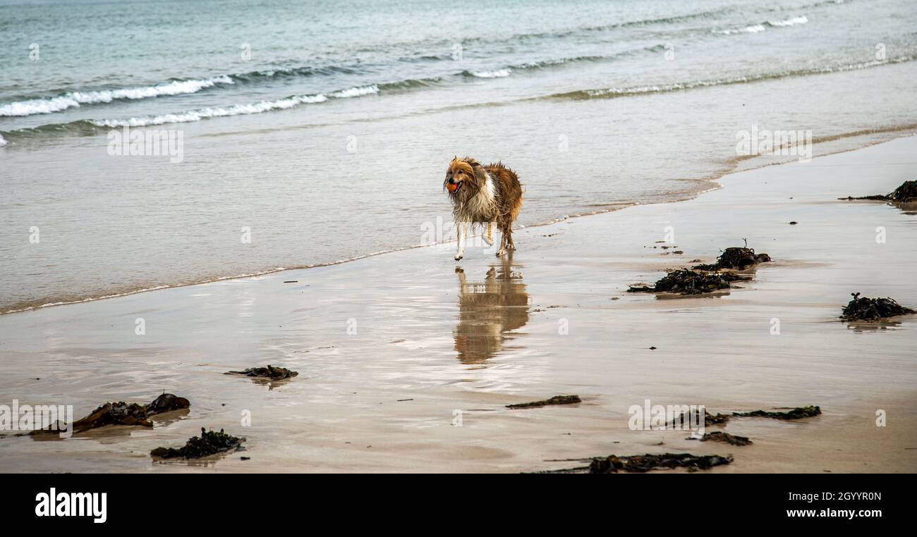 Ich und mein Schatten am Strand Stockfoto