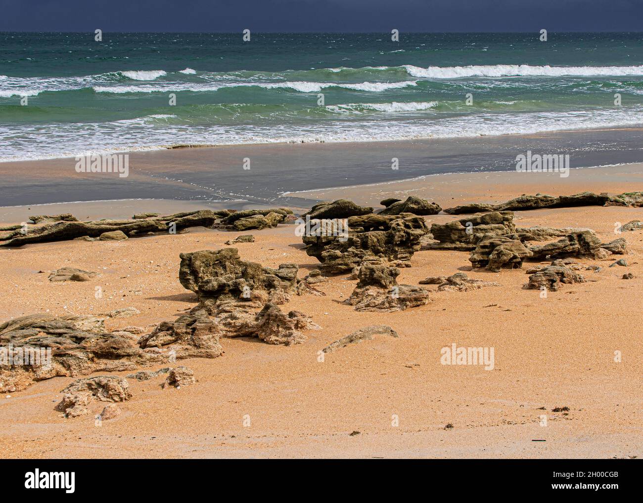 Im Hintergrund eines Strandes von Florida mit Coquina-Felsformationen, die sich am Horizont Gewitterwolken nähern, steht der Vordergrund. Stockfoto