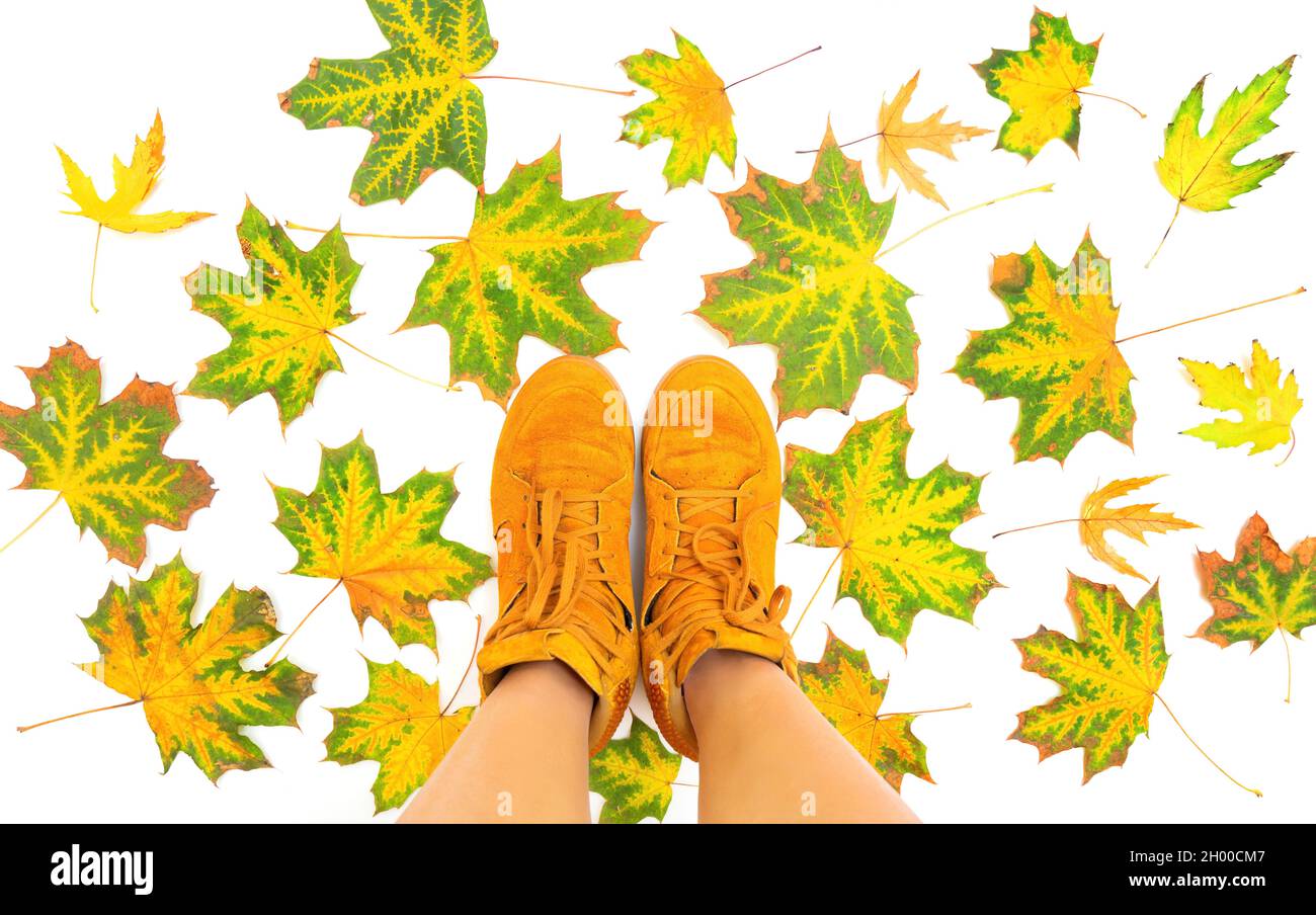Weibliche Füße in leuchtend orangefarbenen Sneakern, die auf pigmentierten Blättern auf weißem Hintergrund stehen. Herbst Saison Mode Hintergrund. Stockfoto