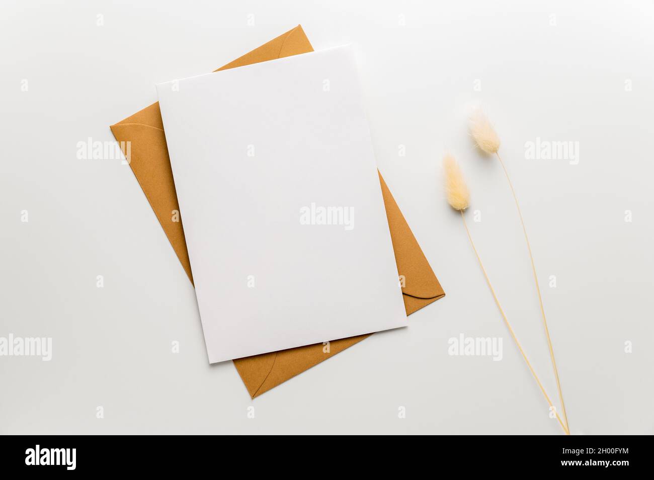 Grußwort, Hochzeit oder Glückwünsche Briefpapier Mockup. Unbeschriftete Grußkarte auf Bastelumschlag und zwei Grashalme mit Hasenschwanz. Stockfoto