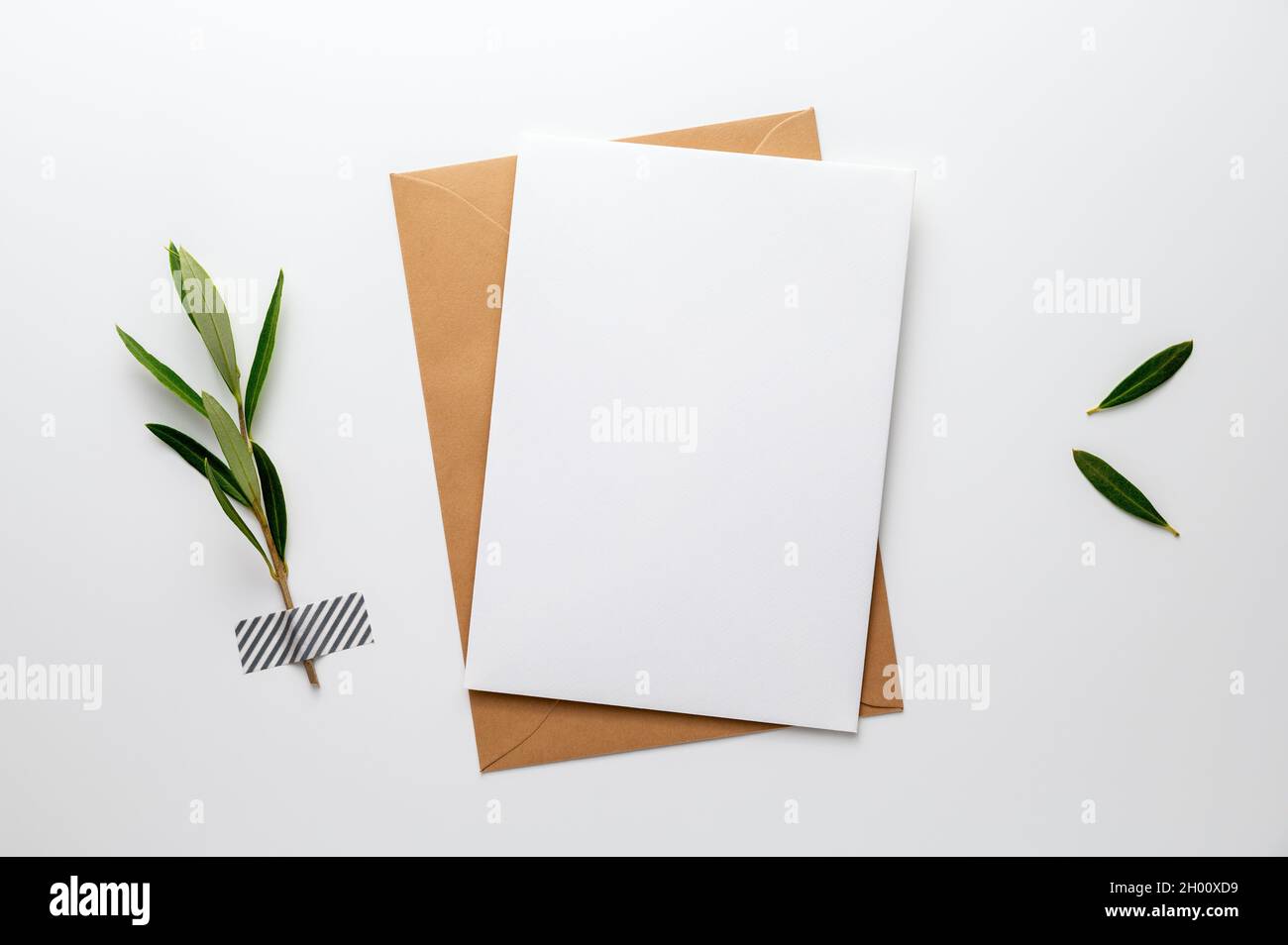 Leere Grußkarte, Einladung, Glückwunschkarte oder Kondolenzkarte, ein grüner Olivenzweig, auf einem weißen Schreibtisch mit Washi-Klebeband befestigt. Stockfoto