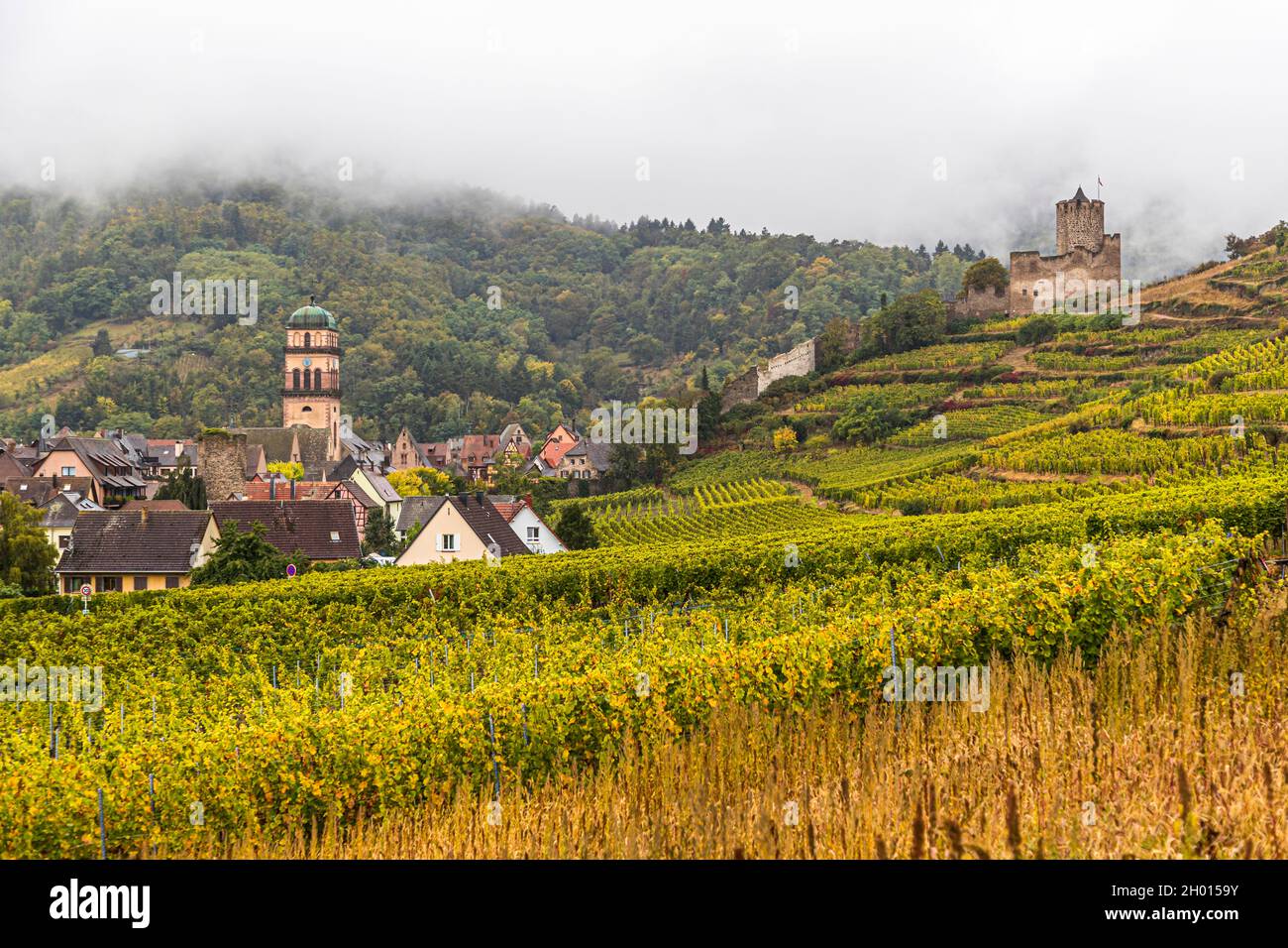 Weinberge und das Schloss von Kaysersberg, Frankreich Stockfoto