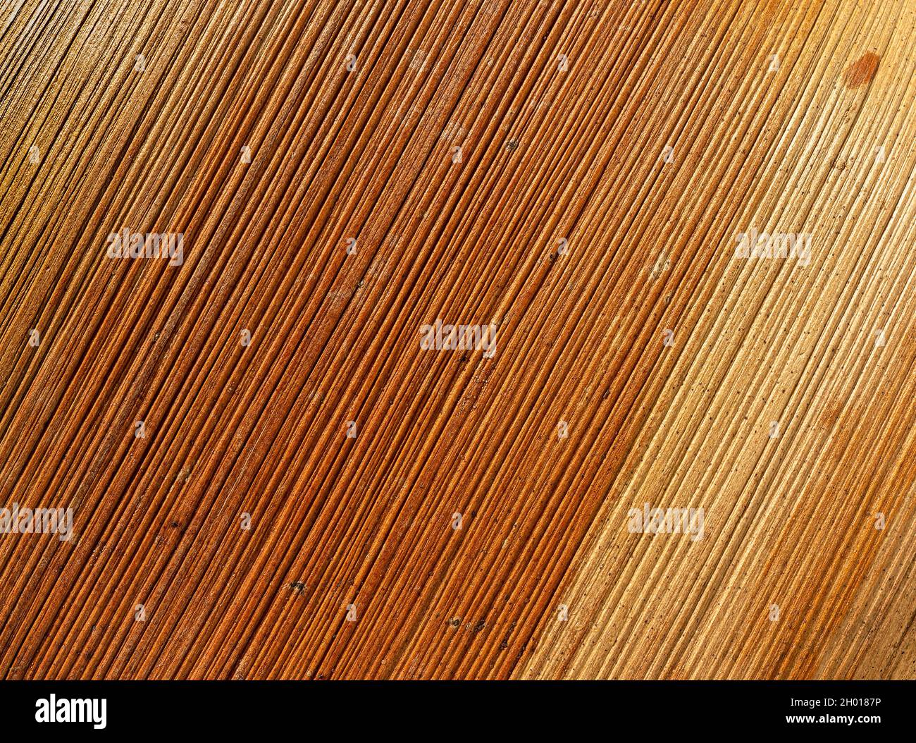 Makro trockenes Palmenblatt. Hintergrund von braunen gelben Palmenblatt mit gerippter Textur. Natur schräg Muster der exotischen Pflanze Teil als diagonales Design-Element. Stockfoto