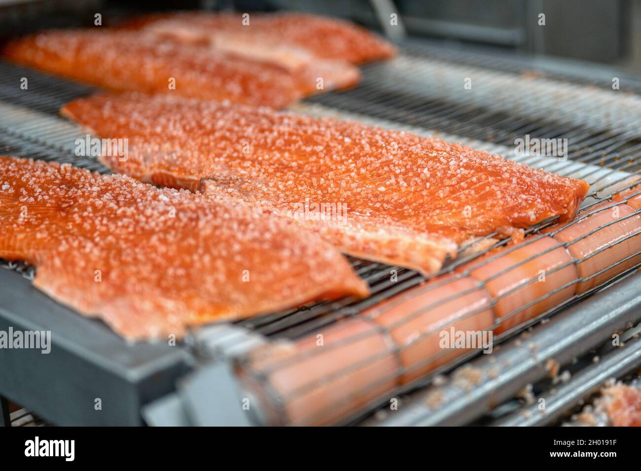 Viele Stücke von rotem Fischfilet, Lachs liegen auf einem Metallförderer Stockfoto