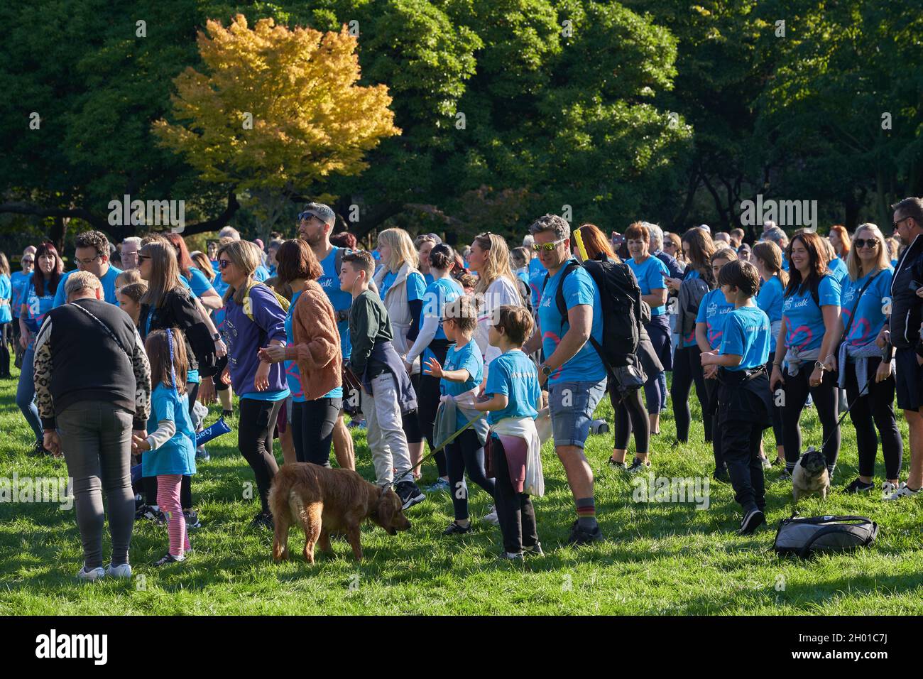 Wohltätigkeitswanderer bei einem Gedächtnisspaziergang im Bute Park, Cardiff, um Geld für die Erforschung der Alzheimer-Krankheit zu sammeln Stockfoto