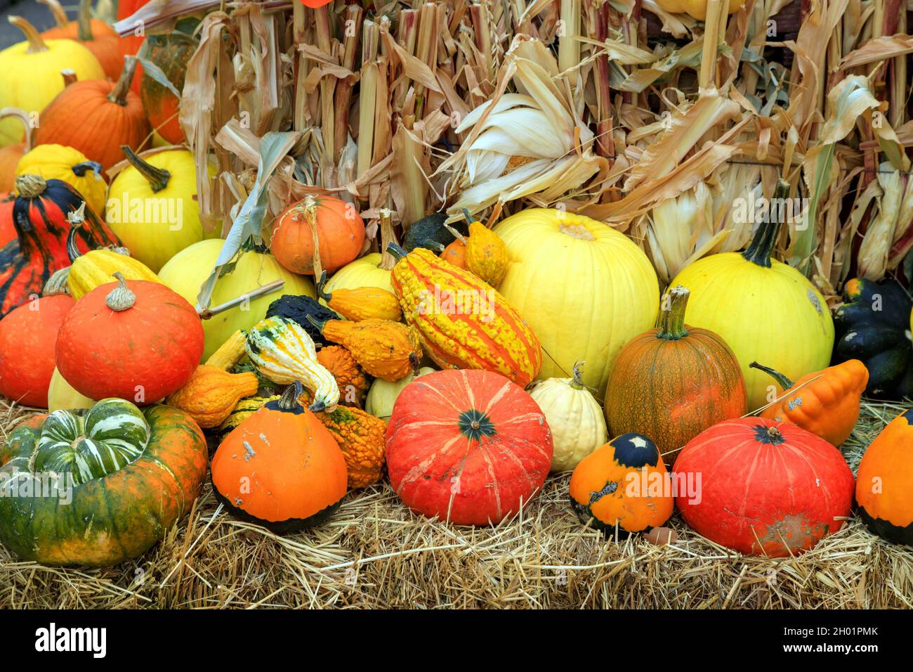 Eine Anordnung von Winterkürbis an einem Obststand Kürbis Patch Display für Thanksgiving Herbst Ernte von Lebensmitteln. Stockfoto