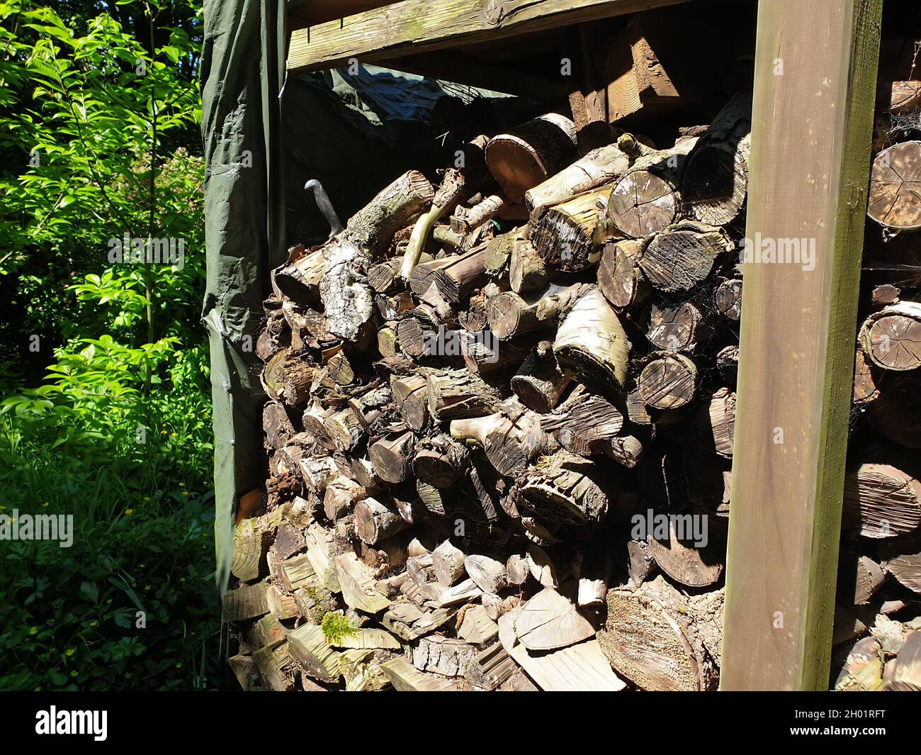 Holzscheite im Garten Stockfoto