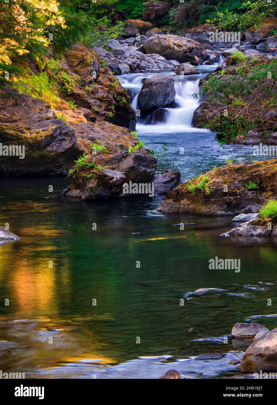 Sol Duc River, Olympic Nationalpark, Washington Stockfoto