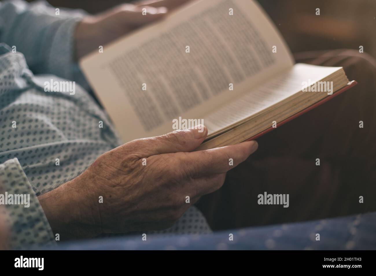 Nahaufnahme der Hände des Senior, die das Buch halten. Alter Mann liest zu Hause Stockfoto