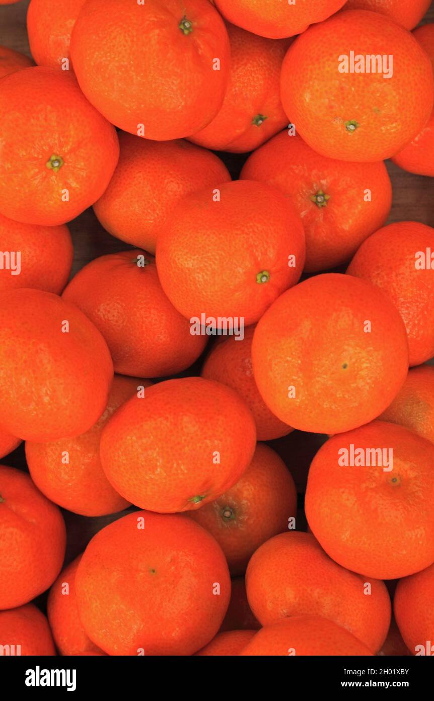 Clementinen, Spanisch, aus Spanien, Hofladen, Obst, Gesunde Ernährung Stockfoto