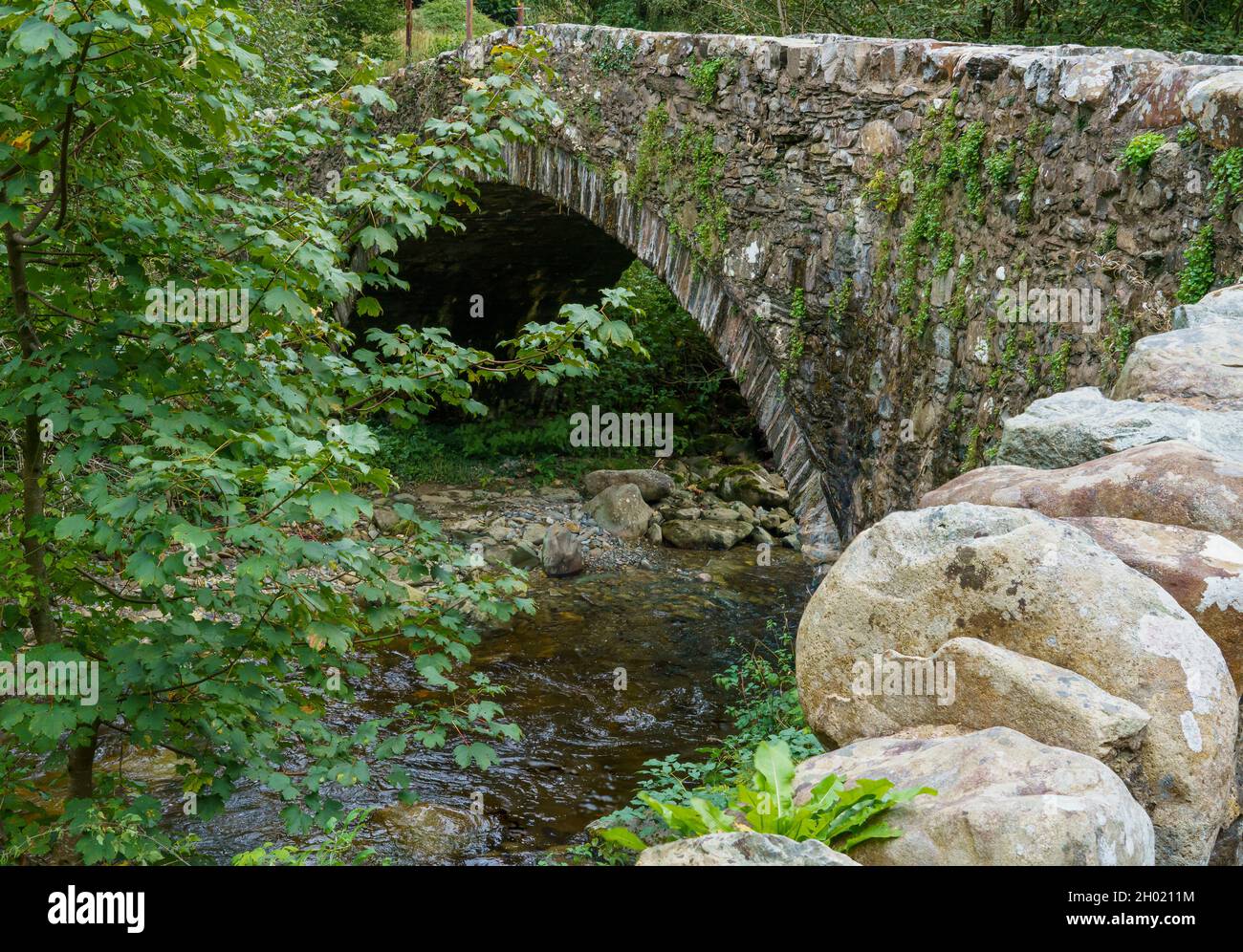 Eine alte Steinbrücke mit Felsbrocken unter dem Bogen auf dem Flussbett in der Nähe von Pistyll rhaeadr Wasserfall, abseits Wasserfall Straße, Llanrhaeadr, Oswestery Wales Stockfoto