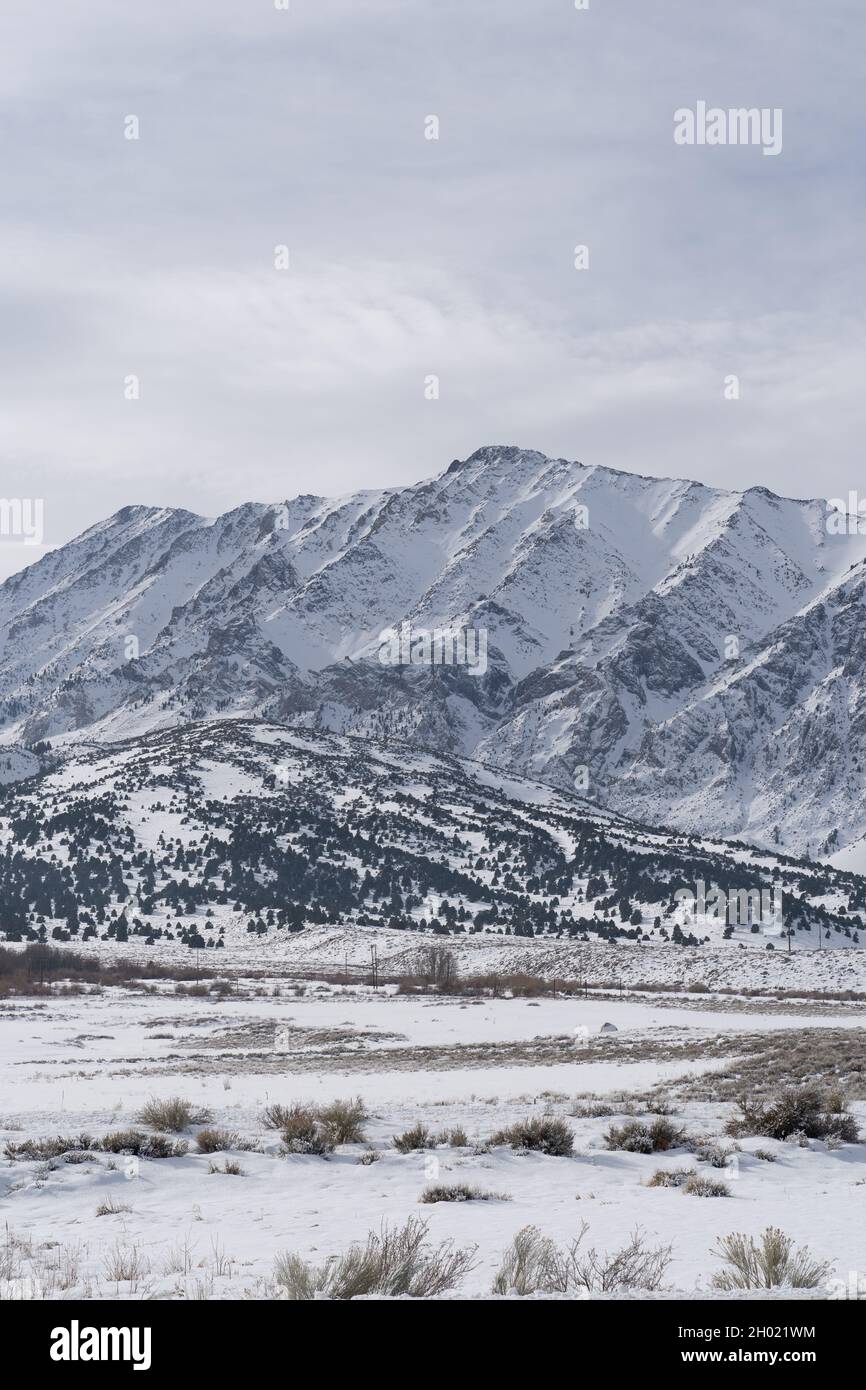 Sierras Schneetag Stockfoto