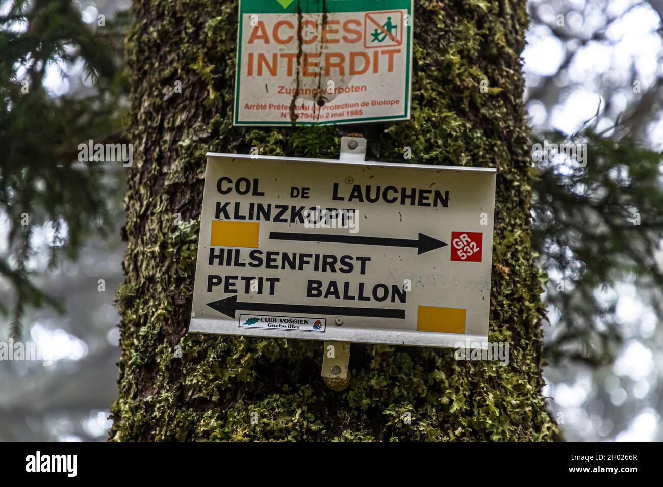 Wanderschild in den Vogesen bei Linthal, Frankreich Stockfoto