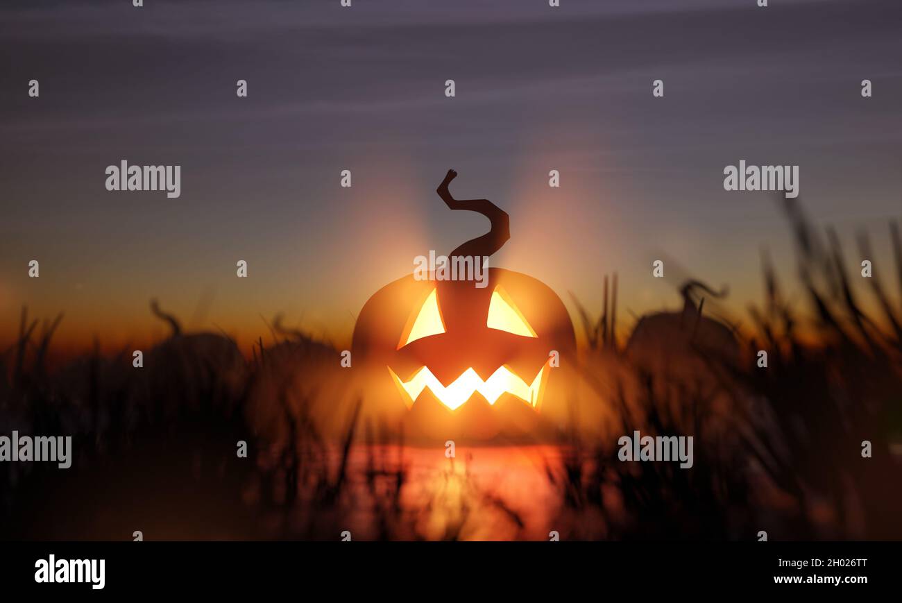 Eine leuchtende halloween Jack O Laterne in einem Kürbis Patch Feld in der Nacht. 3D-Illustration. Stockfoto