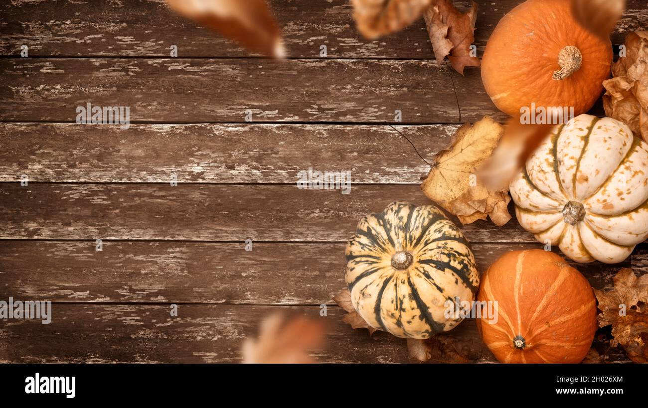 Ein rustikaler Danksageherbst Hintergrund mit Kürbissen und falschenden Blättern. Layout der Herbstsaison. Stockfoto