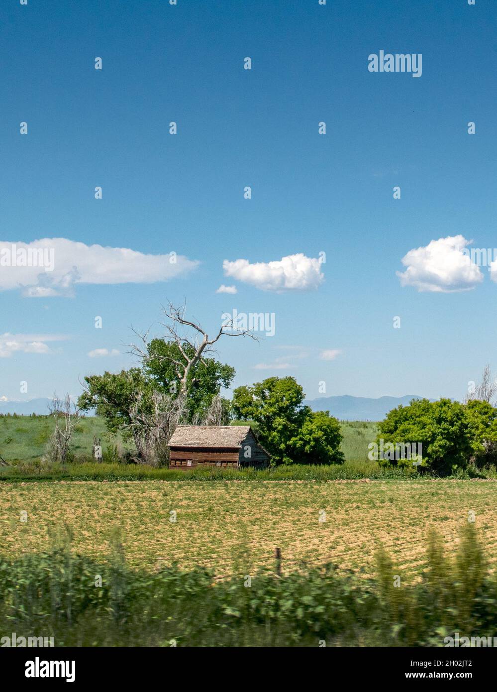 Alte rustikale Scheune auf einem Feld in Colorado USA Stockfoto