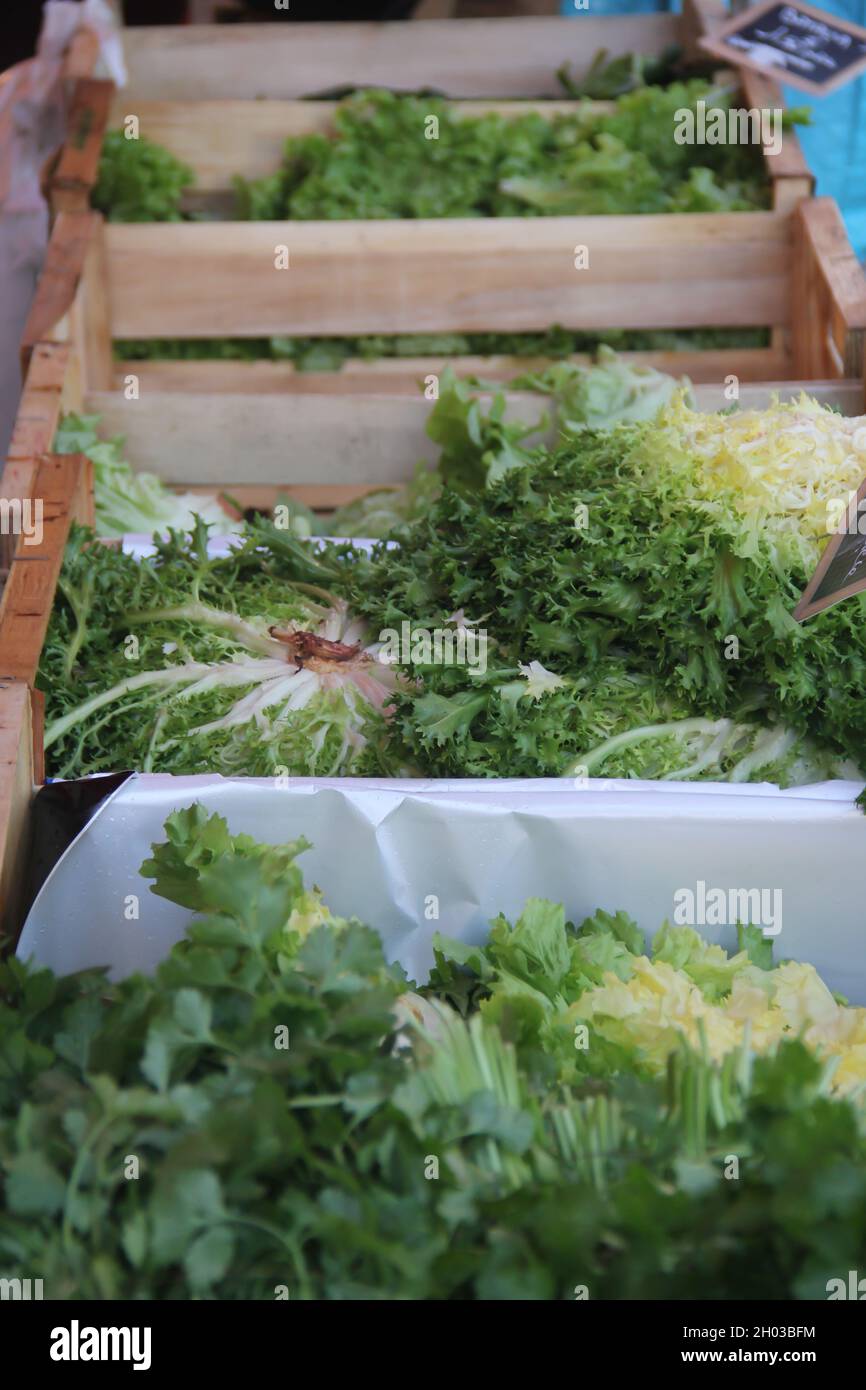 Frische Locken, Salat, Gemüse in Kisten auf einem Bauernmarkt in Frankreich Stockfoto