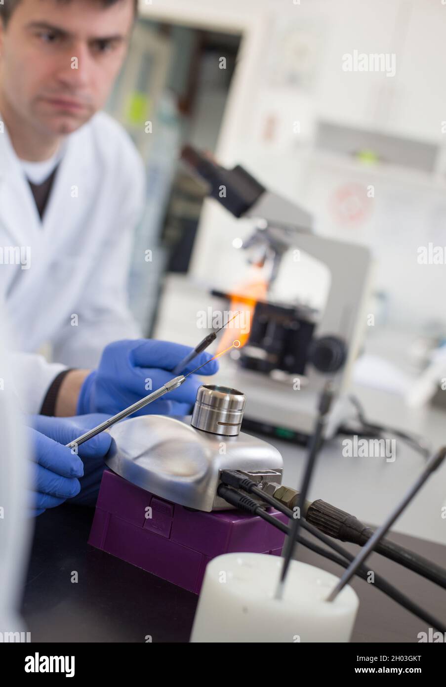 Mikrobiologe erhitzt Impfschlinge in der Flamme des Gasbrenners im Labor Stockfoto