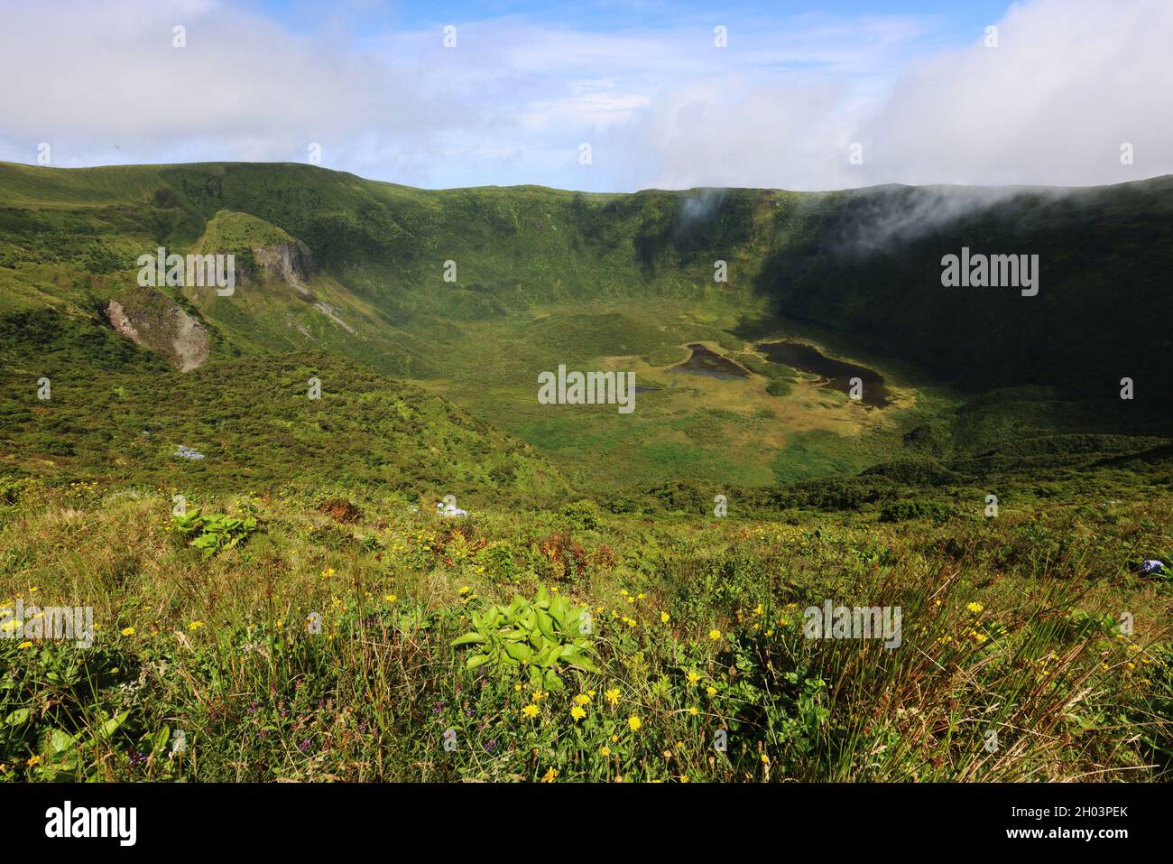 Caldera Cabeco Gordo, Faial Island, Azoren Stockfoto