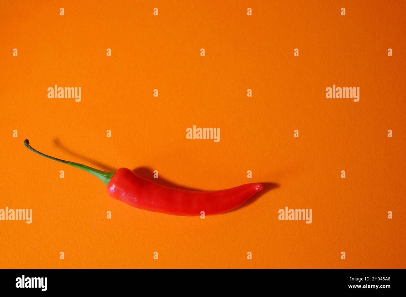 Rote scharfe Chilischote auf orangefarbenem Hintergrund Stockfoto