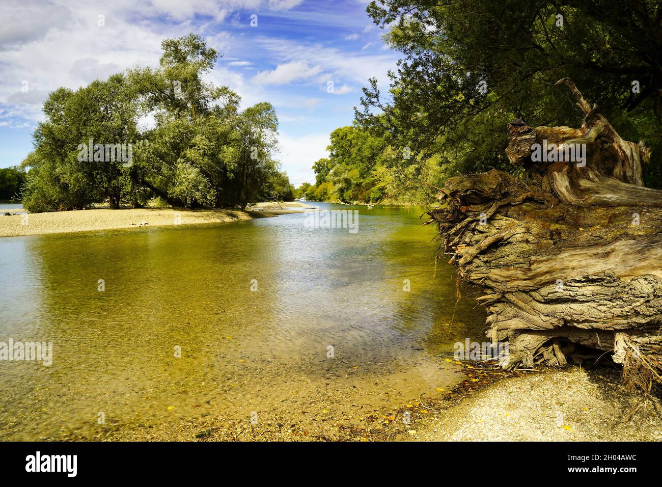 Ein Spätsommertag in den Feuchtgebieten des Rheins. Ein Baumstamm auf der rechten Seite. Deutschland, Baden-Württemberg. Stockfoto