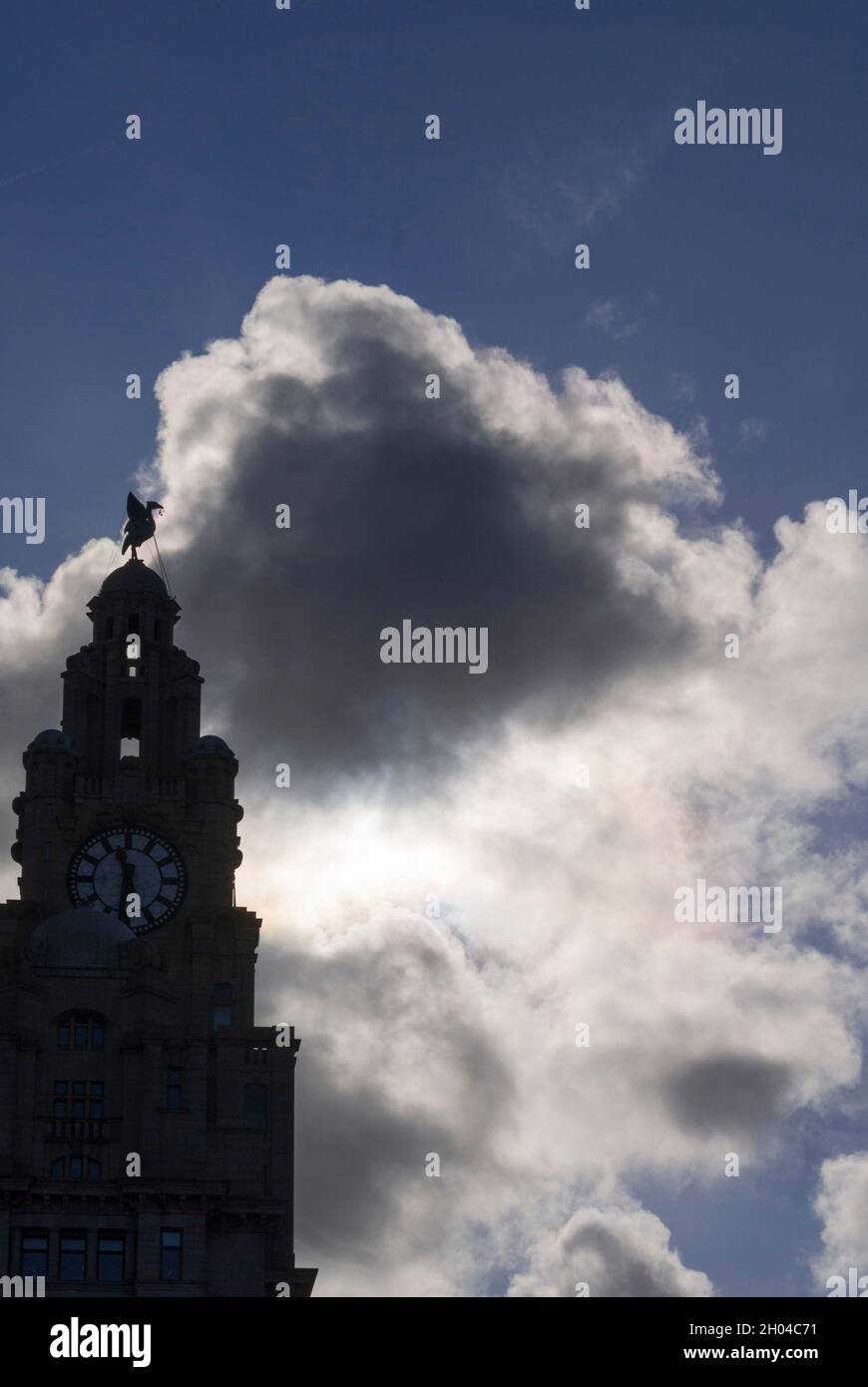 Die Liverbird Silhouette auf dem Royal Liver Gebäude Liverpool. Stockfoto
