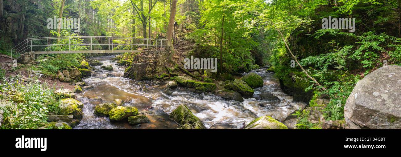 Wilder Fluss Doubrava mit einer eisernen Fußgängerbrücke, im Wald, mit Stromschnellen und Felsen, in der Nähe von Chotebor, Tschechische republik Stockfoto