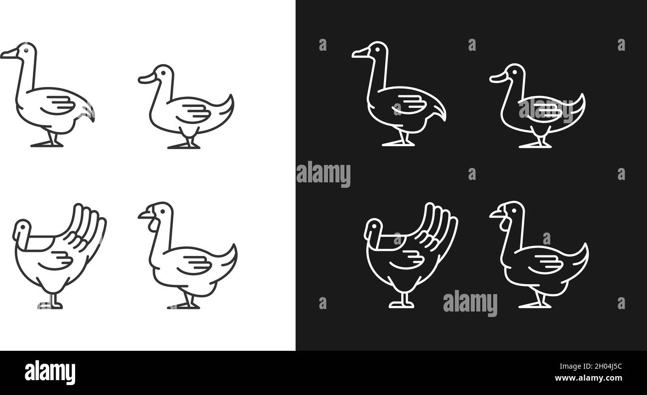 Lineare Wasservögel-Symbole für den Dunkel- und Lichtmodus Stock Vektor
