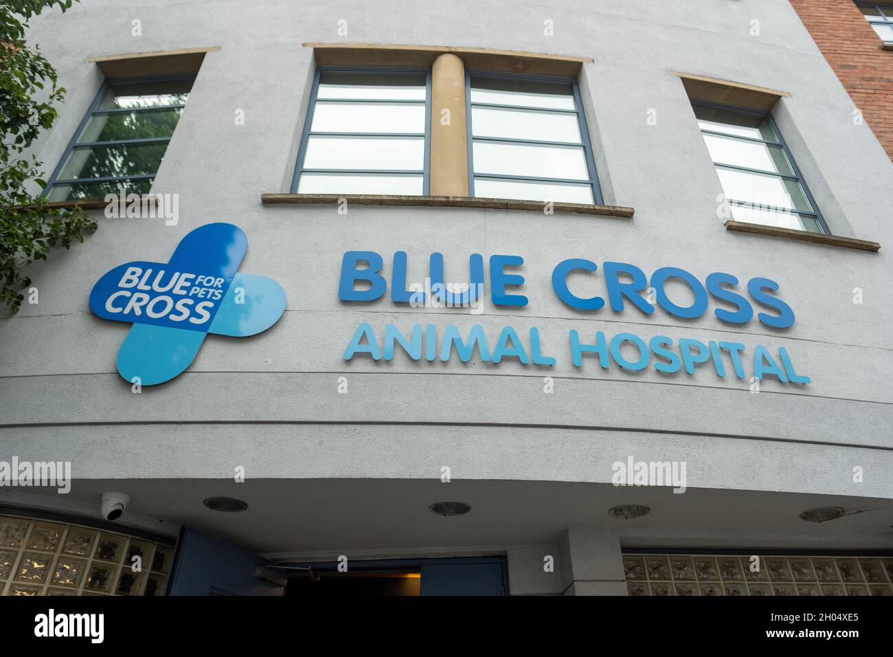 London – 2021. Oktober: Blue Cross Animal Hospital in der Nähe der Victoria Station, einer britischen Tierschutzorganisation Stockfoto