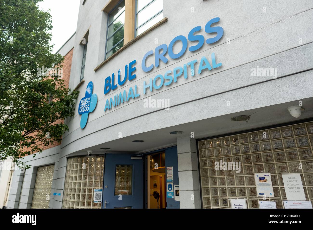 London – 2021. Oktober: Blue Cross Animal Hospital in der Nähe der Victoria Station, einer britischen Tierschutzorganisation Stockfoto