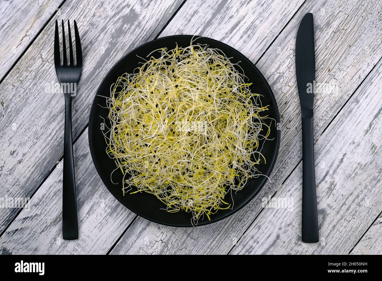 Lauch-Samen sprießen in einem schwarzen Löffel auf einem grauen rustikalen Holztisch Stockfoto