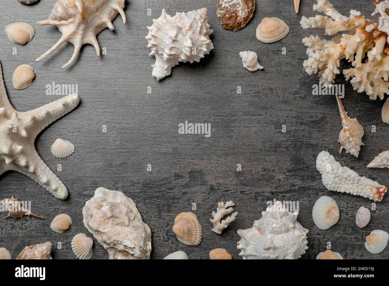 Flache Laienkomposition mit Muscheln auf Holzhintergrund. Strandobjekte Stockfoto