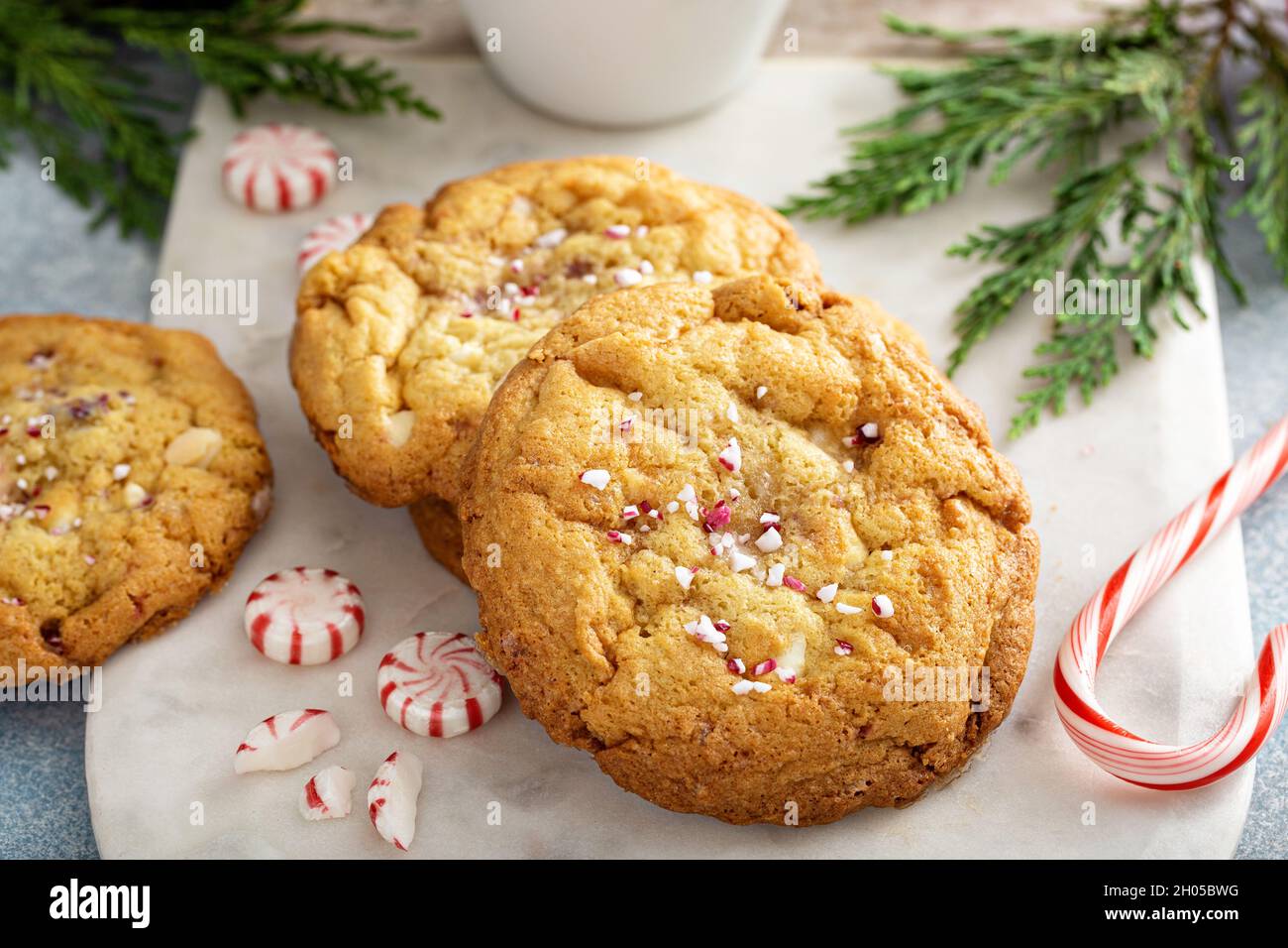 Pfefferminzbonblätzchen aus weißer Schokolade, frisch zu Weihnachten gebacken, serviert mit heißer Schokolade Stockfoto