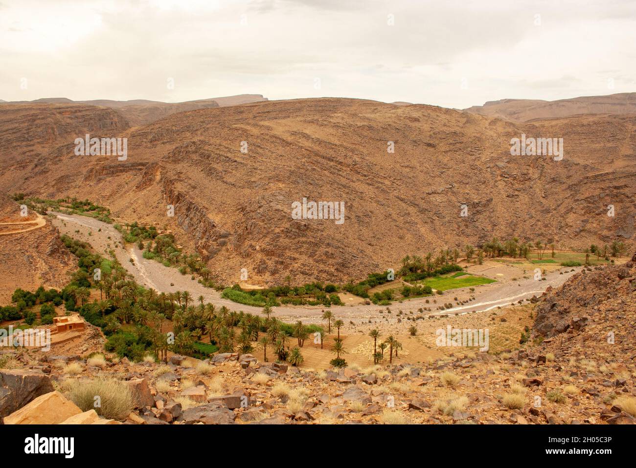 Oase und Landschaft der Sahara fotografiert in Marokko Stockfoto