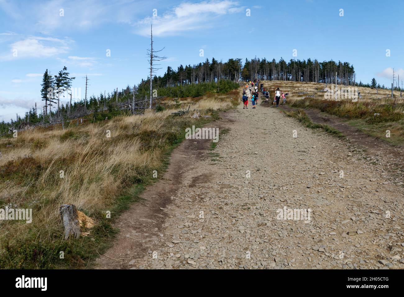 Annäherung an den Skrzyczne-Gipfel von den Malinowa Skala i Beskidy-Bergen Südpolens Stockfoto
