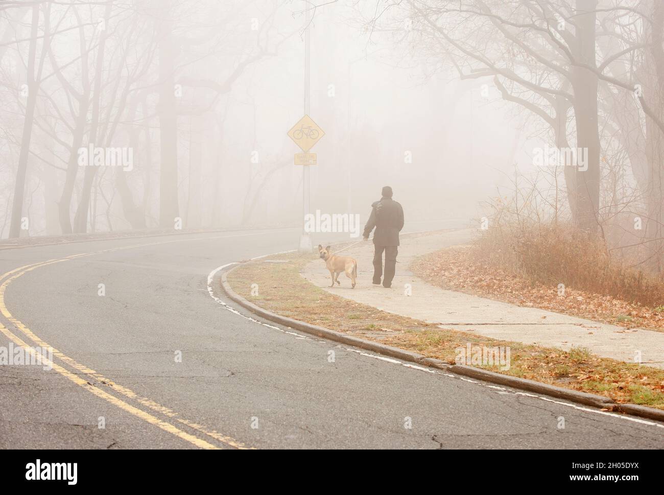 Spaziergang in einem Stadtpark in Queens, New York Stockfoto