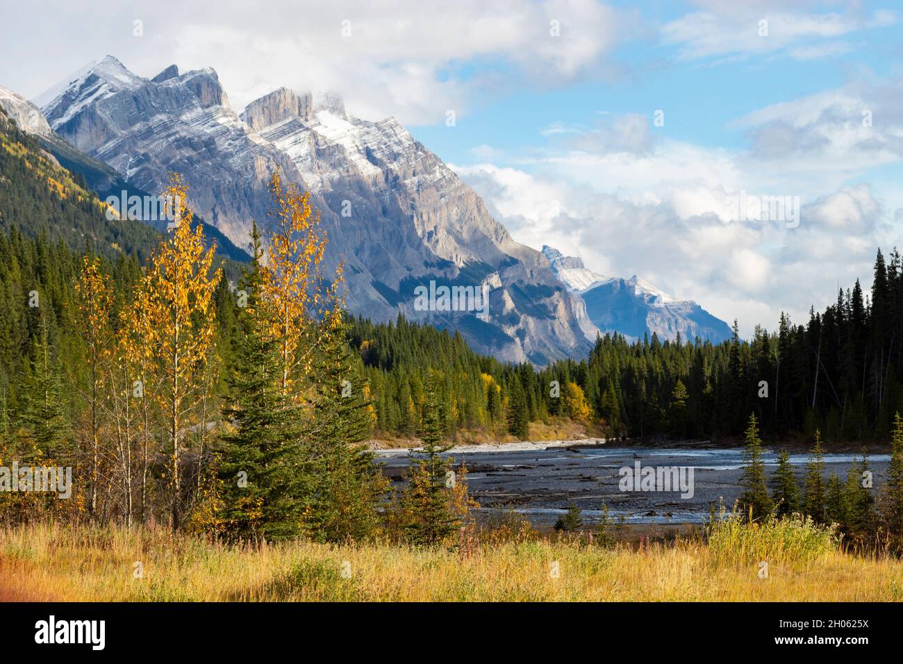 Alberta Mountains auf dem Highway 93 zwischen Jasper und Banff National Parks Stockfoto