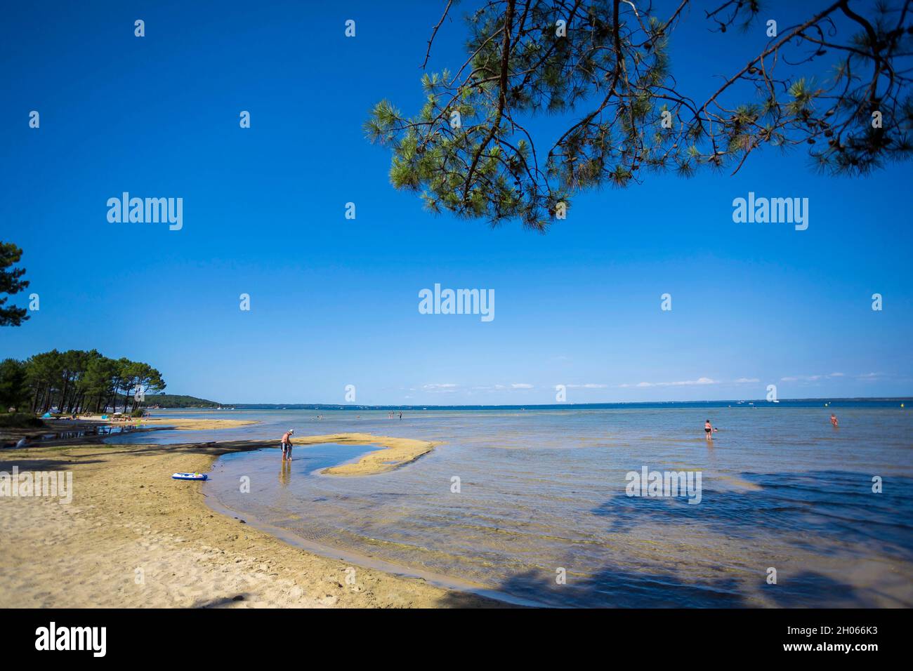 Biscarrosse (Südwestfrankreich), Navarosse: Strand des Teiches von Cazaux und Sanguinet Stockfoto