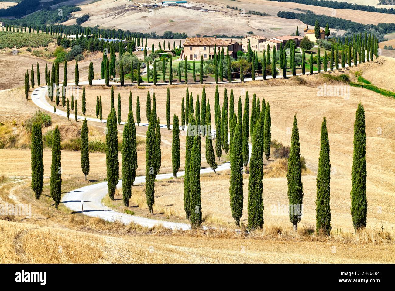 Typische Landschaft des Val d'Orcia Toskana Italien mit S-förmigen Zypressen Stockfoto