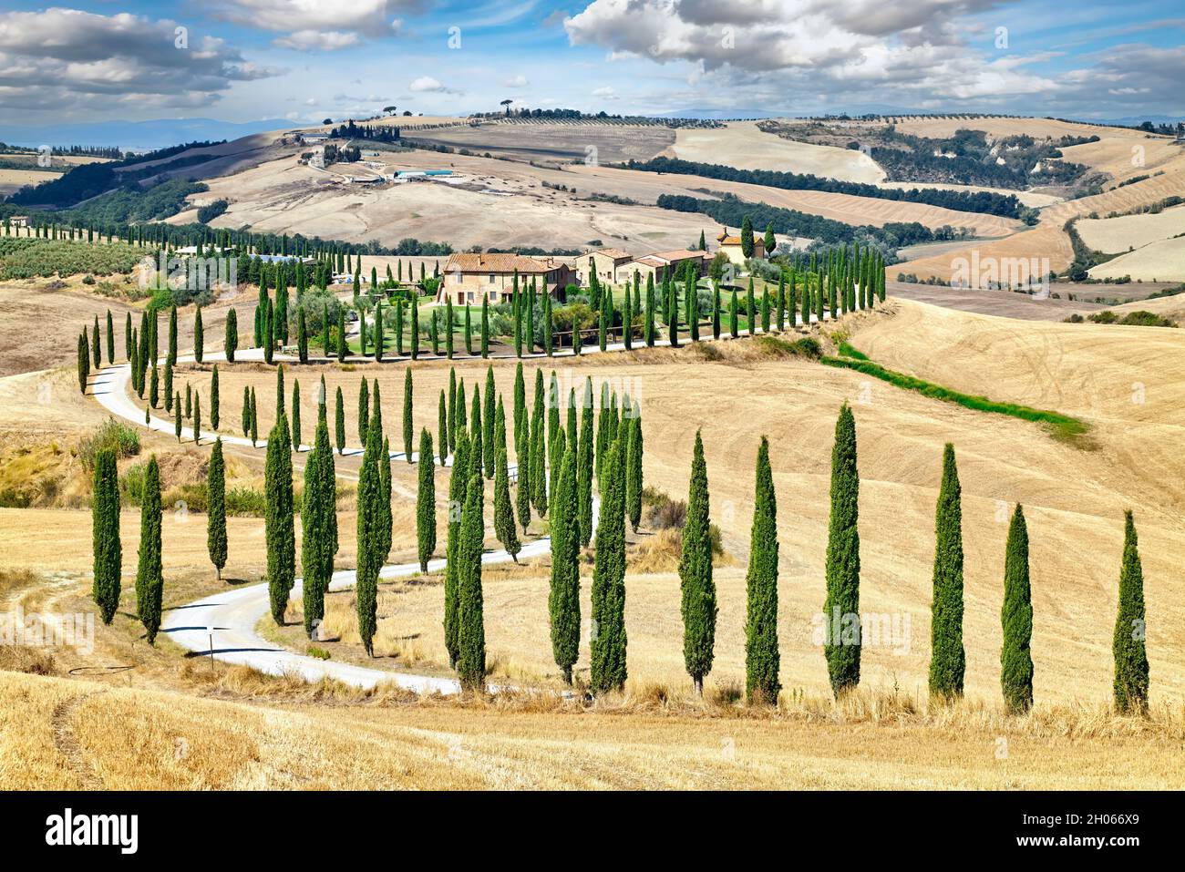 Typische Landschaft des Val d'Orcia Toskana Italien mit S-förmigen Zypressen Stockfoto
