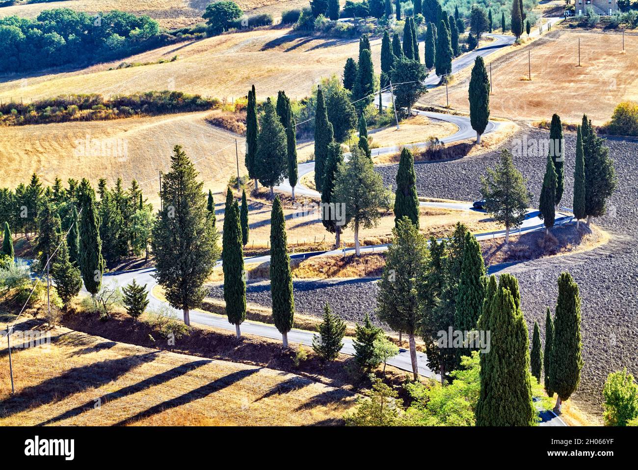Zypressen S-Road. Monticchiello Val d'Orcia Toskana Italien Stockfoto