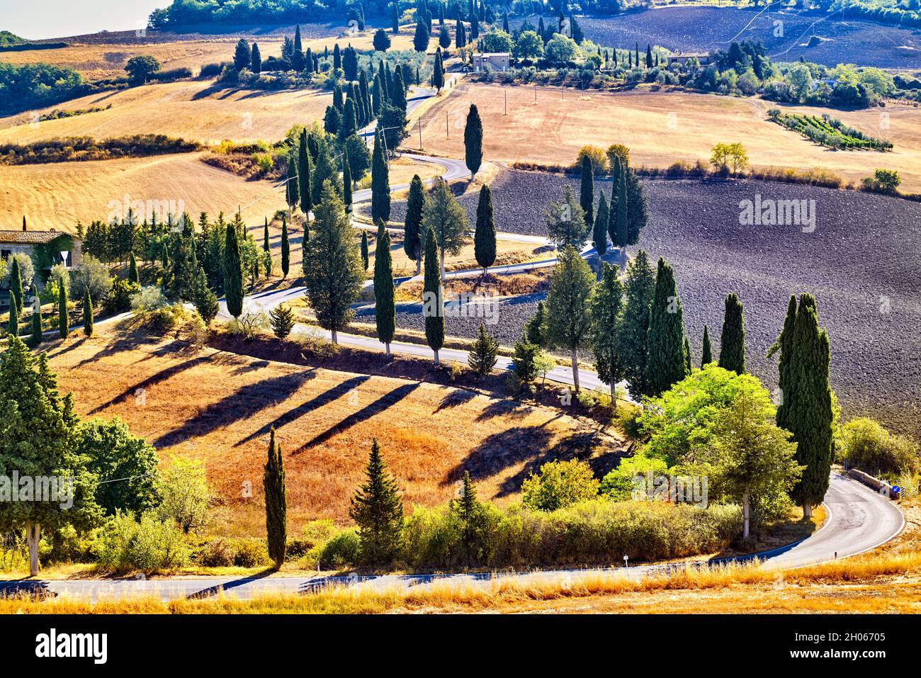 Zypressen S-Road. Monticchiello Val d'Orcia Toskana Italien Stockfoto