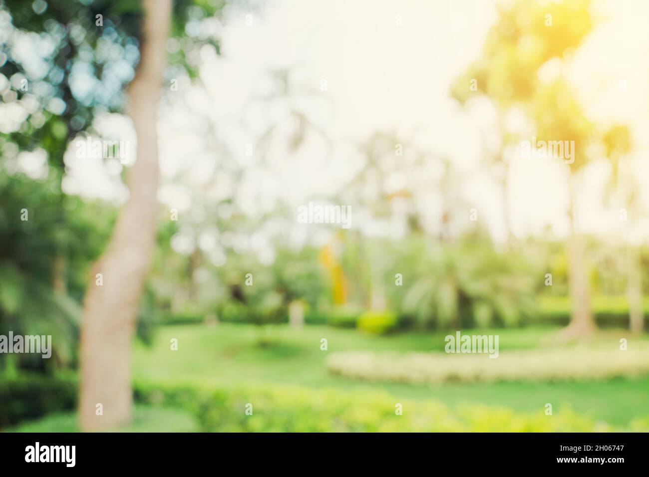 Defokussierte Bokeh und verwischen Hintergrund von Gartenbäumen in Sonnenlicht mit vintage getönten. Stockfoto