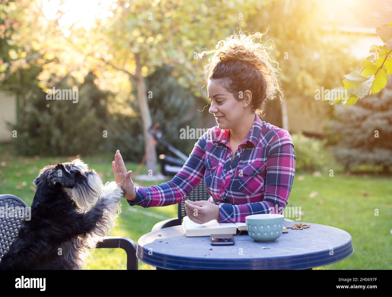 Mädchen spielt mit Hund Geben Sie mir fünf Befehl am Tisch im Garten Stockfoto