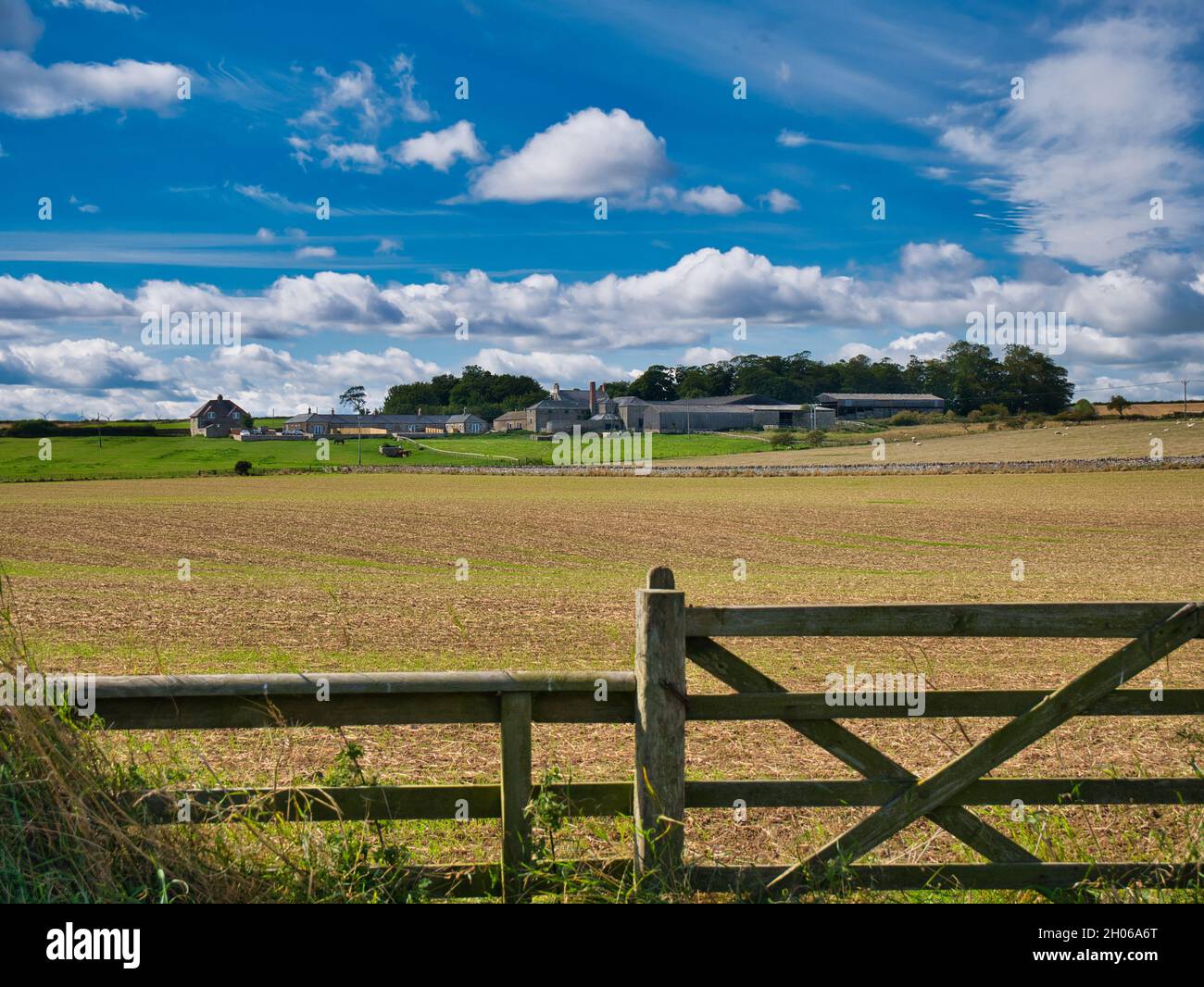Landwirtschaftliche Gebäude in einer ländlichen Landschaft von Ackerfeldern in Northumberland, England, Großbritannien - aufgenommen an einem sonnigen Tag mit weißen Wolken und einem blauen Himmel. Stockfoto