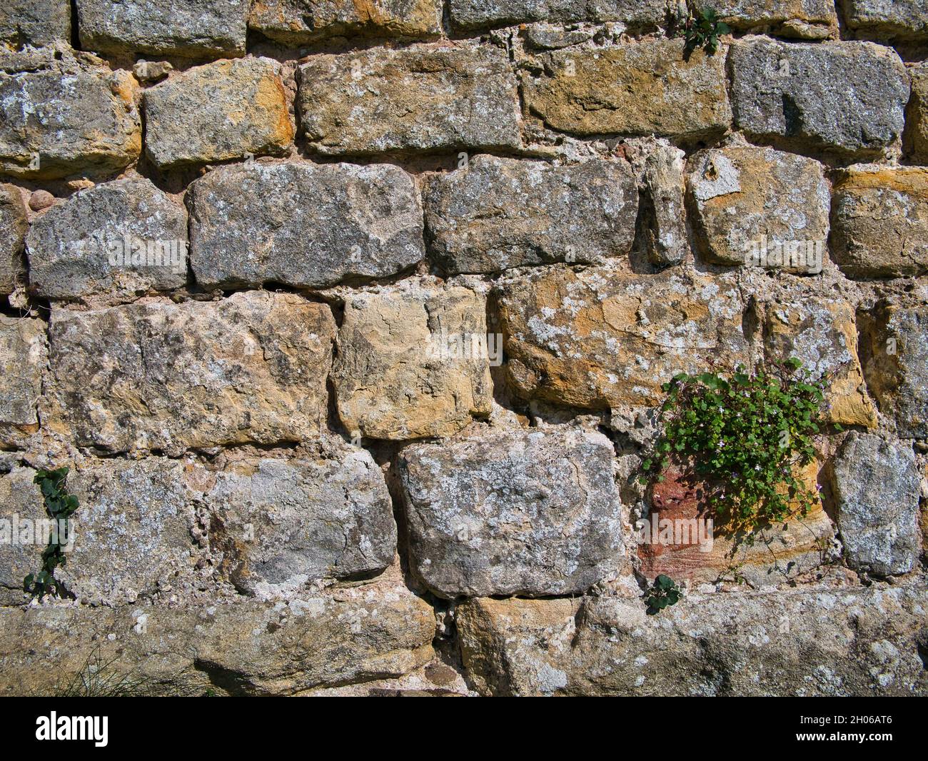 Reihen von alten Steinblöcken in einer alten Mauer. An einem sonnigen Tag aufgenommen. Stockfoto