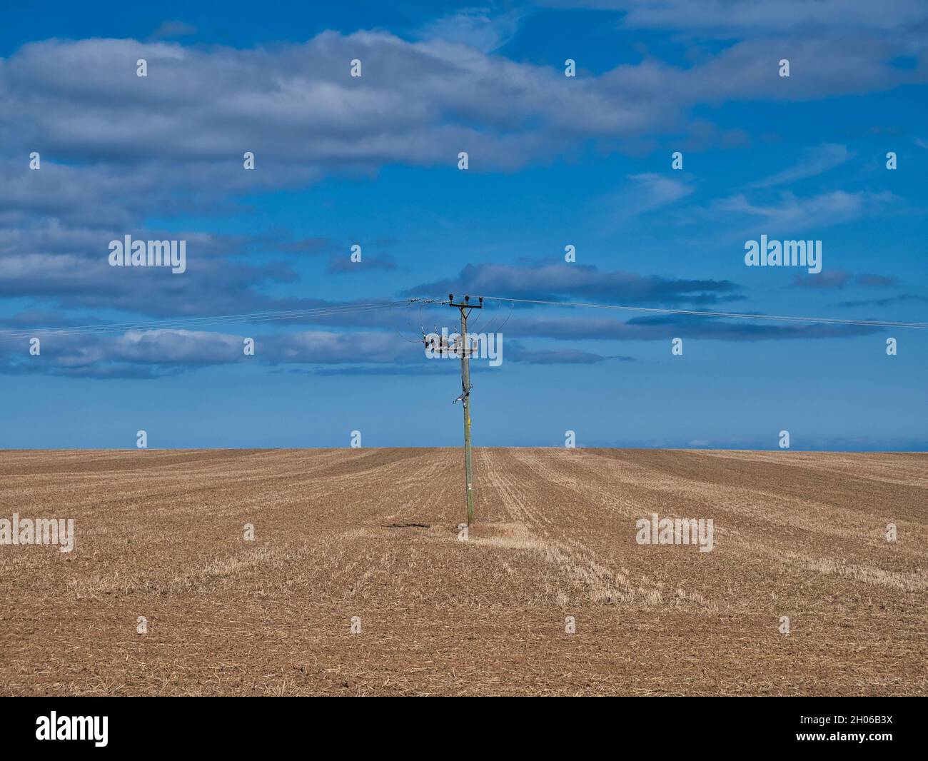 Ein einzelner hölzerner Stromübertragungsmast in einem Feld von Erntegutstoppeln mit Stromleitungen links und rechts. Aufgenommen an einem sonnigen Tag am Ende des Sommers Stockfoto