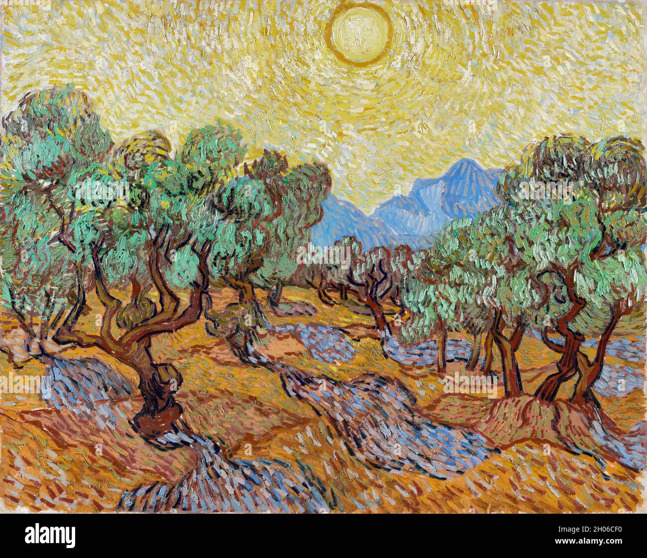 Vincent van Gogh Olivenbäume (1889). Stockfoto